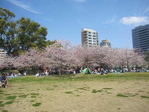 舞鶴公園.JPG